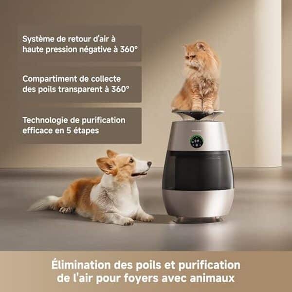 Découvrez notre test complet du purificateur d'air Dreame AP10 : efficacité contre les poils d'animaux et les mauvaises odeurs, caractéristiques et performances. 