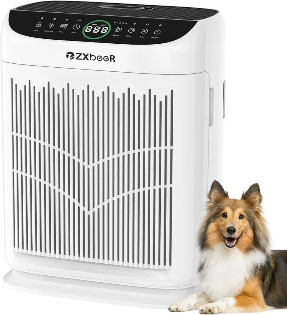 Test du purificateur d'air double face HEPA pour grande pièce